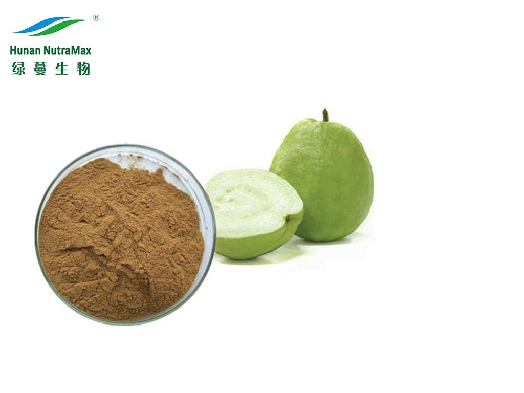 Guava Fruit Extract Powder/ Guava Leaf Extract Powder  4:1~ 20:1