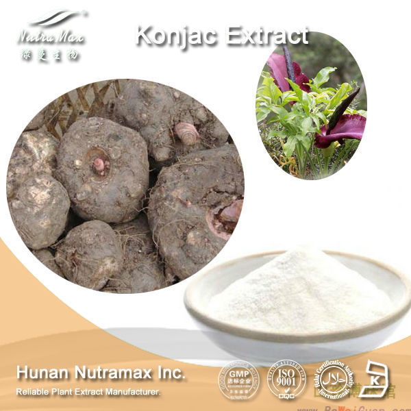 Manufacturer Amorphophallus Konjac Root Glucomannan Powder