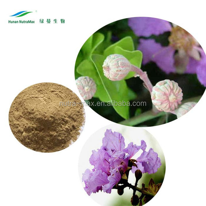 100% Natural Product Banaba Leaf Extract Corosolic Acid,Lagerstroemia Speciosa Extract