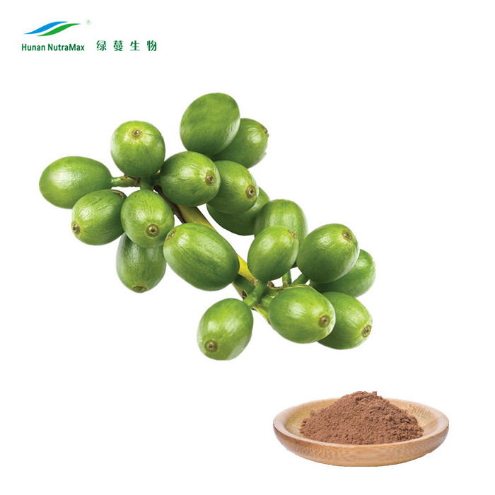 High quality Green Coffee Bean Extract of 10%-98% Chlorogenic acid (HPLC)