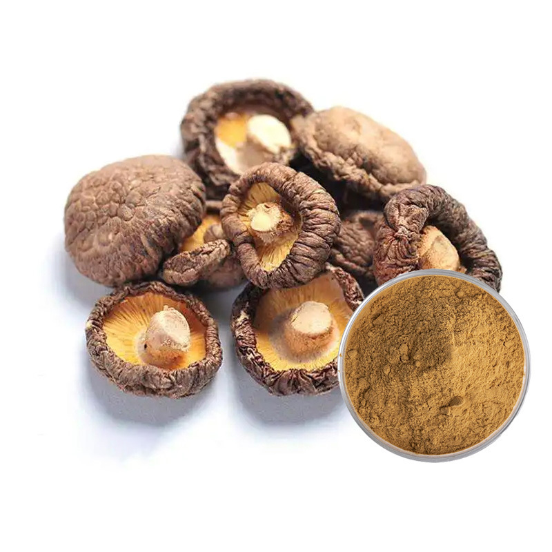 10% Shiitake Polysaccharides Powder Quality Natural Organic Shiitake Mushroom Extract for Nutrition Supplement