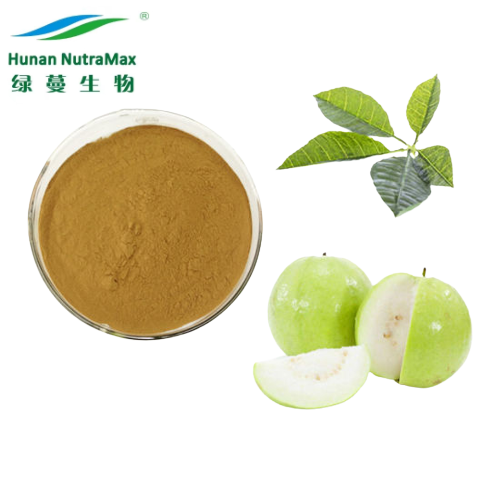 Guava Fruit Extract Powder/ Guava Leaf Extract Powder  4:1~ 20:1