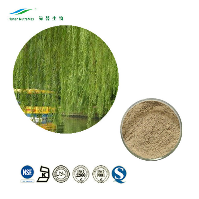 Natural White Willow Bark Extract, White Willow Bark Extract Powder