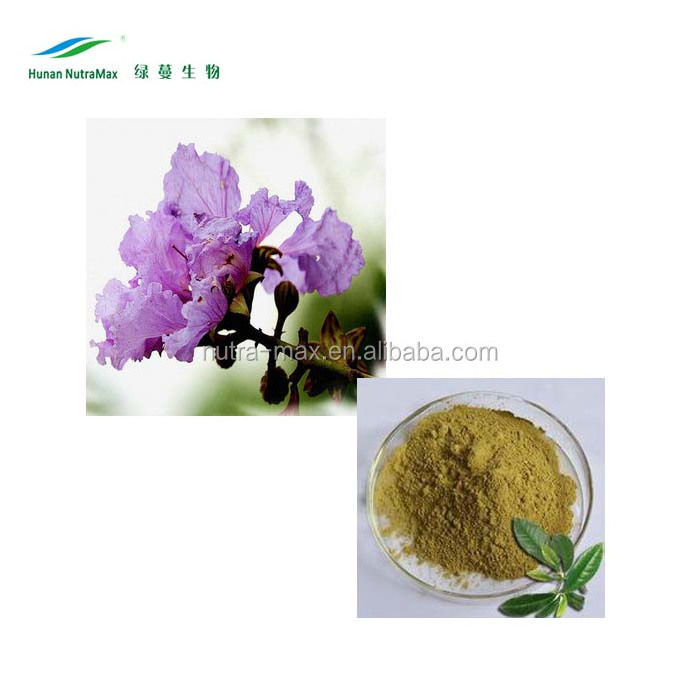 100% Natural Product Banaba Leaf Extract Corosolic Acid,Lagerstroemia Speciosa Extract