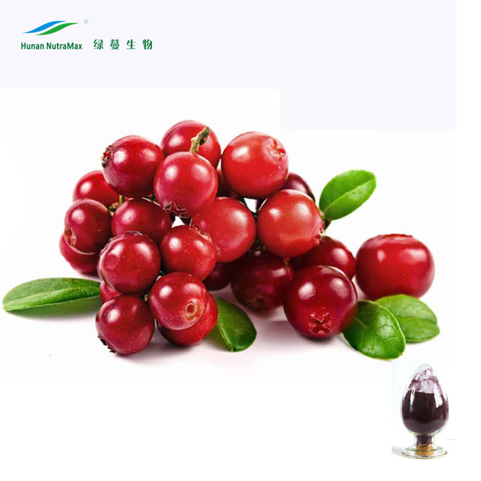 100% Natural Cranberry Extract Powder Proanthocyanidins 10%-50% with Best Quality