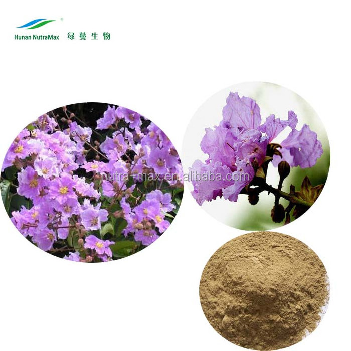 100% Natural Product Banaba Leaf Extract Corosolic Acid,Lagerstroemia Speciosa Extract