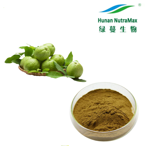 Guava Fruit Extract Powder/ Guava Leaf Extract Powder  4:1~ 20:1