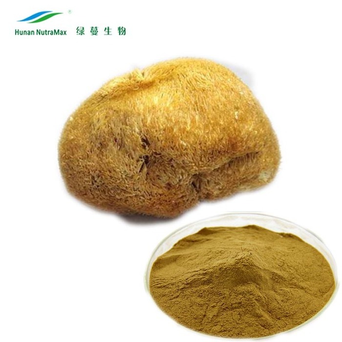 Beta Glucan Organic Lion's Mane Hericium Erinaceus Mushroom Extract Powder