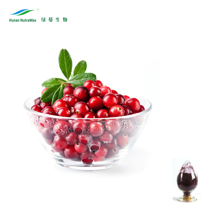 100% Natural Cranberry Extract Powder Proanthocyanidins 10%-50% with Best Quality