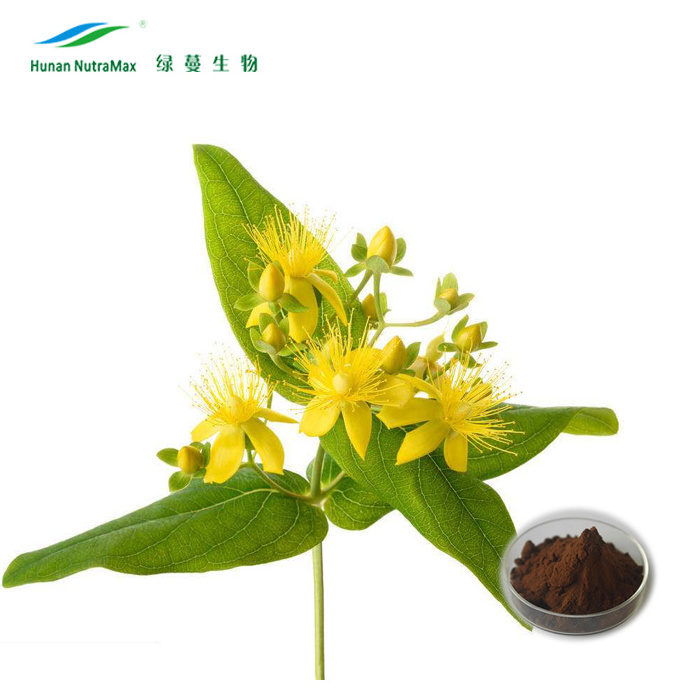 Hypericum Perforatum Extract St. John's Wort Extract 0.3% Hypericin Powder