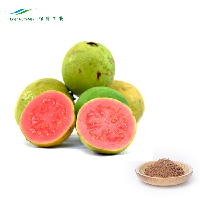 Guava Fruit Extract Powder/ Guava Leaf Extract Powder  4:1~ 20:1