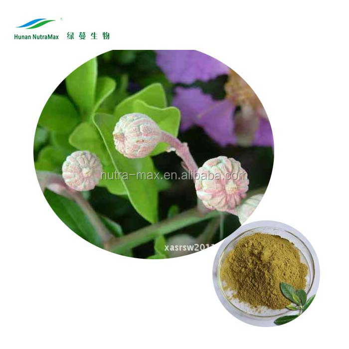 100% Natural Product Banaba Leaf Extract Corosolic Acid,Lagerstroemia Speciosa Extract