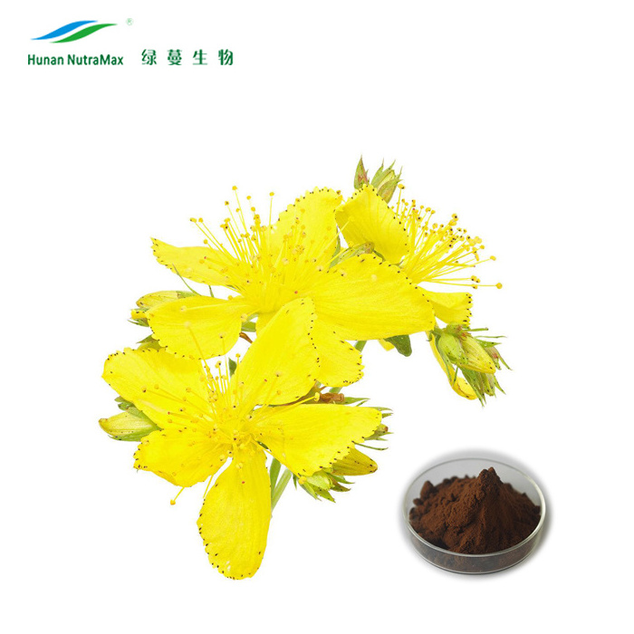 Hypericum Perforatum Extract St. John's Wort Extract 0.3% Hypericin Powder