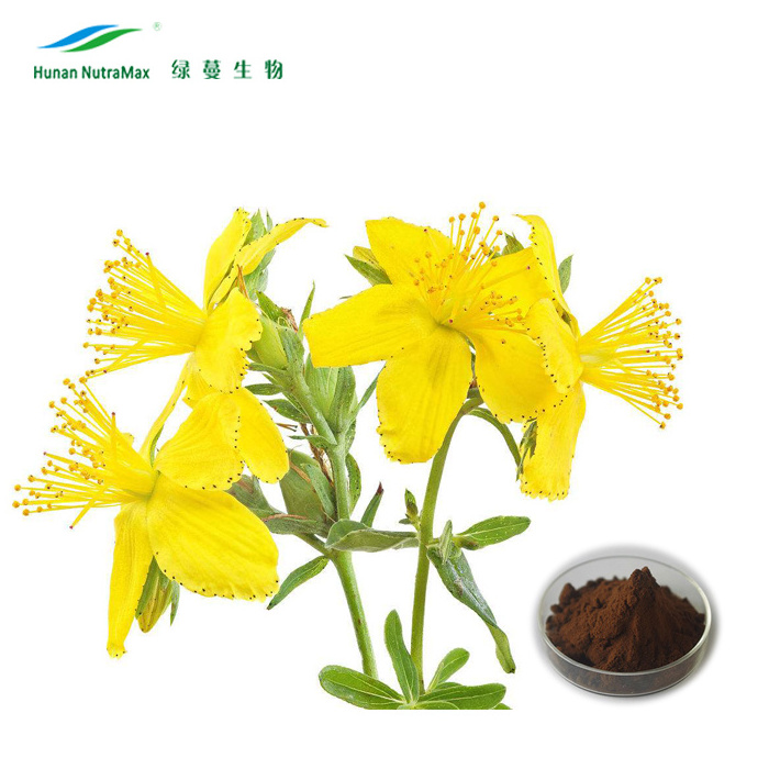 Hypericum Perforatum Extract St. John's Wort Extract 0.3% Hypericin Powder