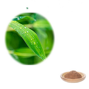 GMP Factory Bamboo Dry Extract Powder Natual Ingredient Bamboo Extract for Supplement