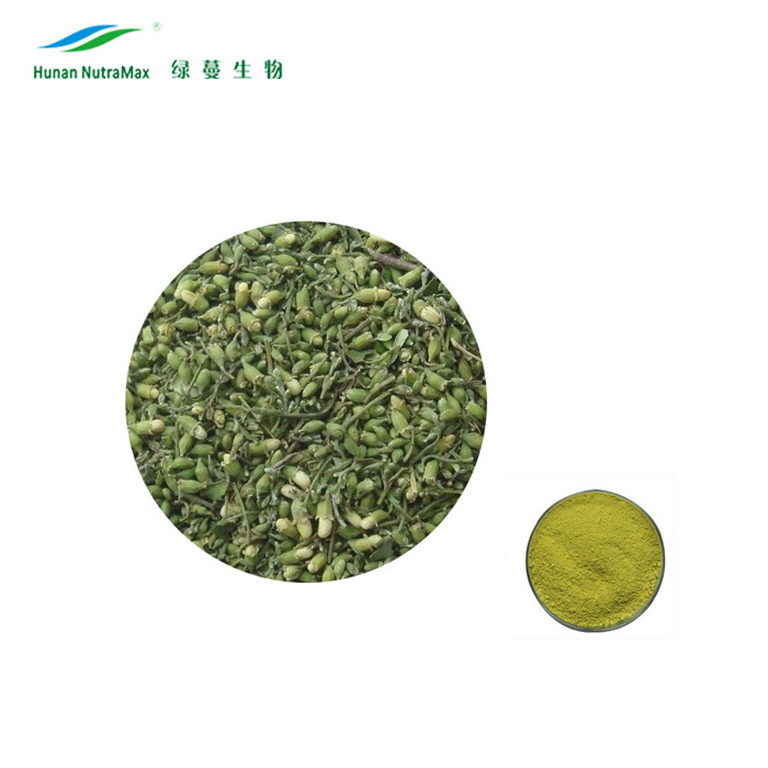 Pure Quercetin Extract CAS 117-39-5 Sophora Japonica Flower Extract for Quercetin Supplement