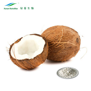 powder coconut milk protein powder coconut coconut cream powder