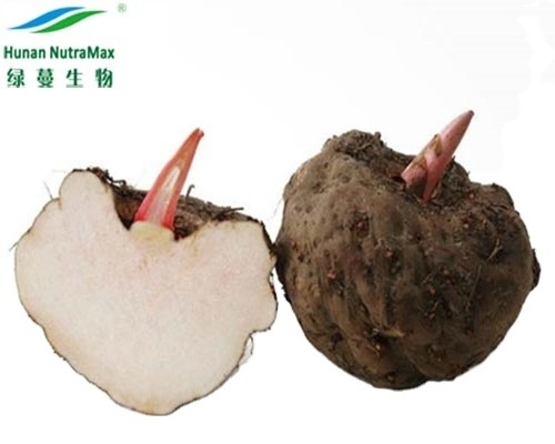 Manufacturer Amorphophallus Konjac Root Glucomannan Powder