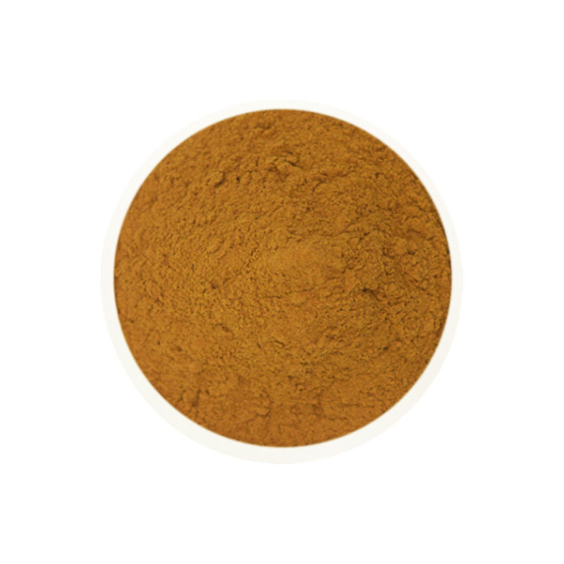 High Quality Phyllanthus Emblica Extract Powder 30%-60% Tannis Pure Amla Extract for Hair Growth