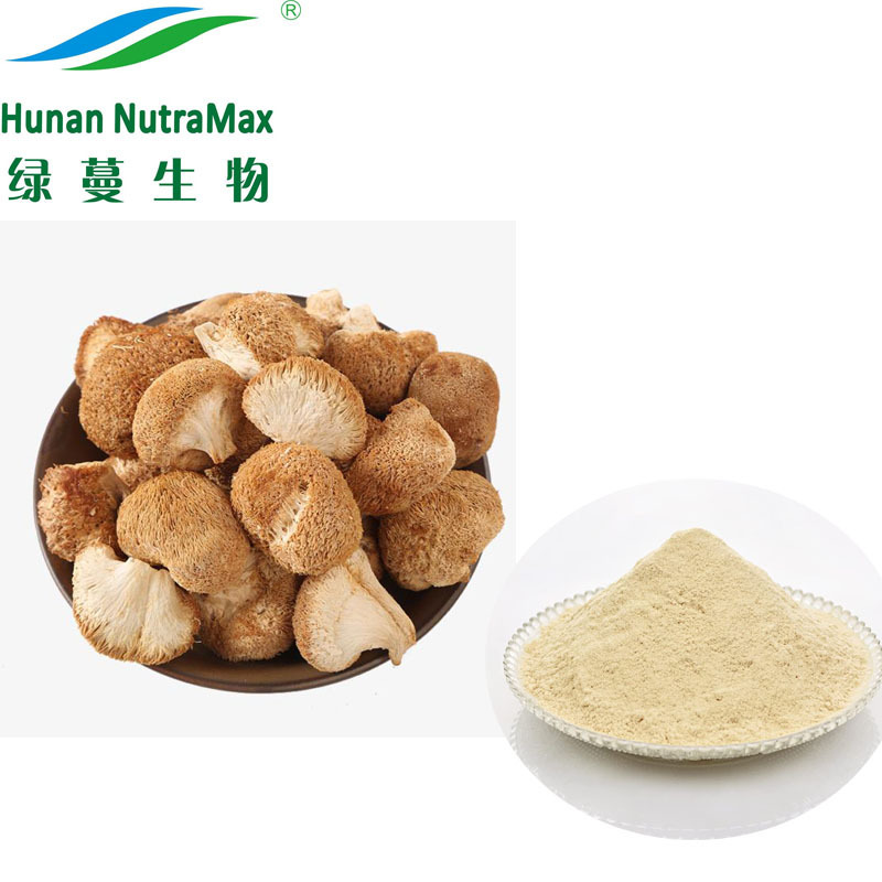 Beta Glucan Organic Lion's Mane Hericium Erinaceus Mushroom Extract Powder