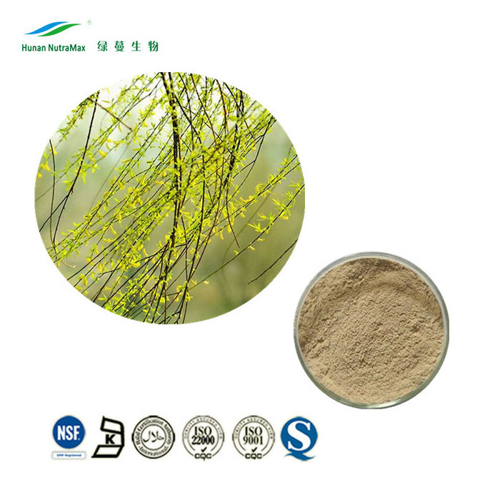 Natural White Willow Bark Extract, White Willow Bark Extract Powder