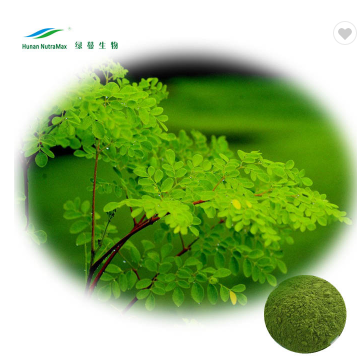 Moringa Oleifera Seeds Extract Moringa Leaf Extract Powder Food Moringa Leaf Powder Buyers in India Birch Bark Extract Nutramax