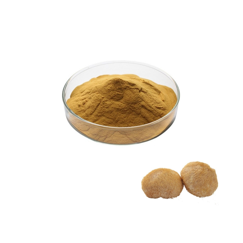 Beta Glucan Organic Lion's Mane Hericium Erinaceus Mushroom Extract Powder