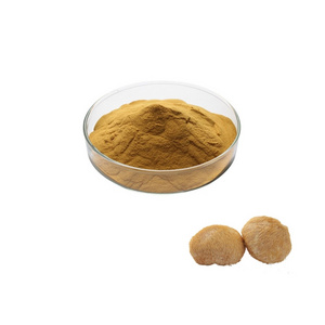 Beta Glucan Organic Lion's Mane Hericium Erinaceus Mushroom Extract Powder