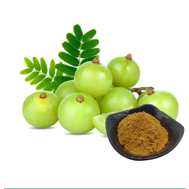 High Quality Phyllanthus Emblica Extract Powder 30%-60% Tannis Pure Amla Extract for Hair Growth