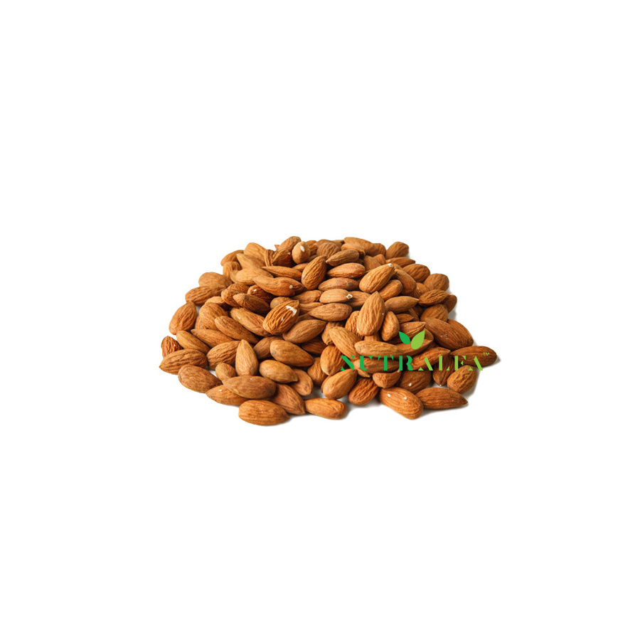 Natural Almond Premium Pure Quality Nuts - Badam