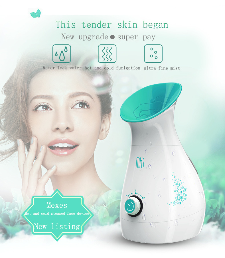 Rechargeable Multifunction Nano Mist Spray Mini Ozone Facial Steamer