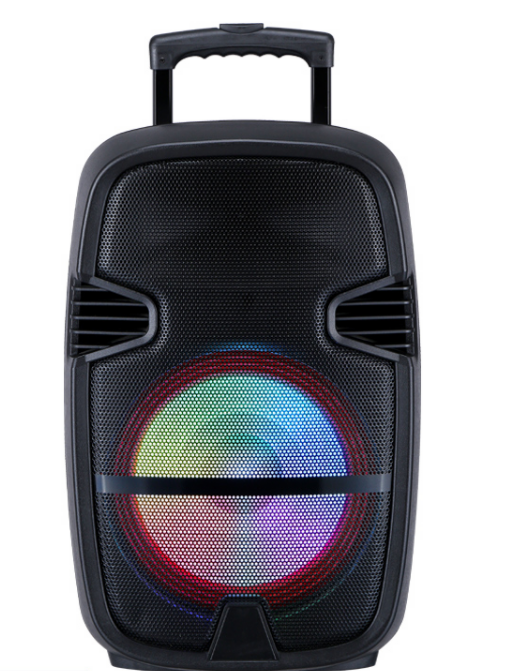 private model new Sound Box Professional 12 Inch Dance Outdoor Portable Audio Music potable blue tooth  mini karakoe KTV speaker