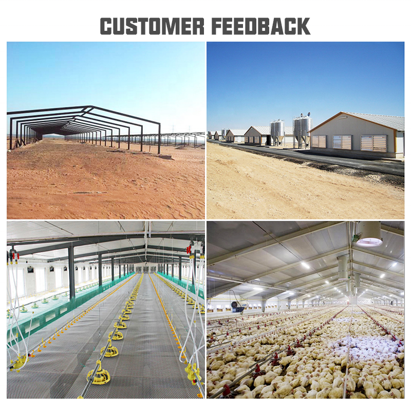 NANXIANG STEEL structural steel h beam holland warehouse goat shed goat farming equipment poultry house