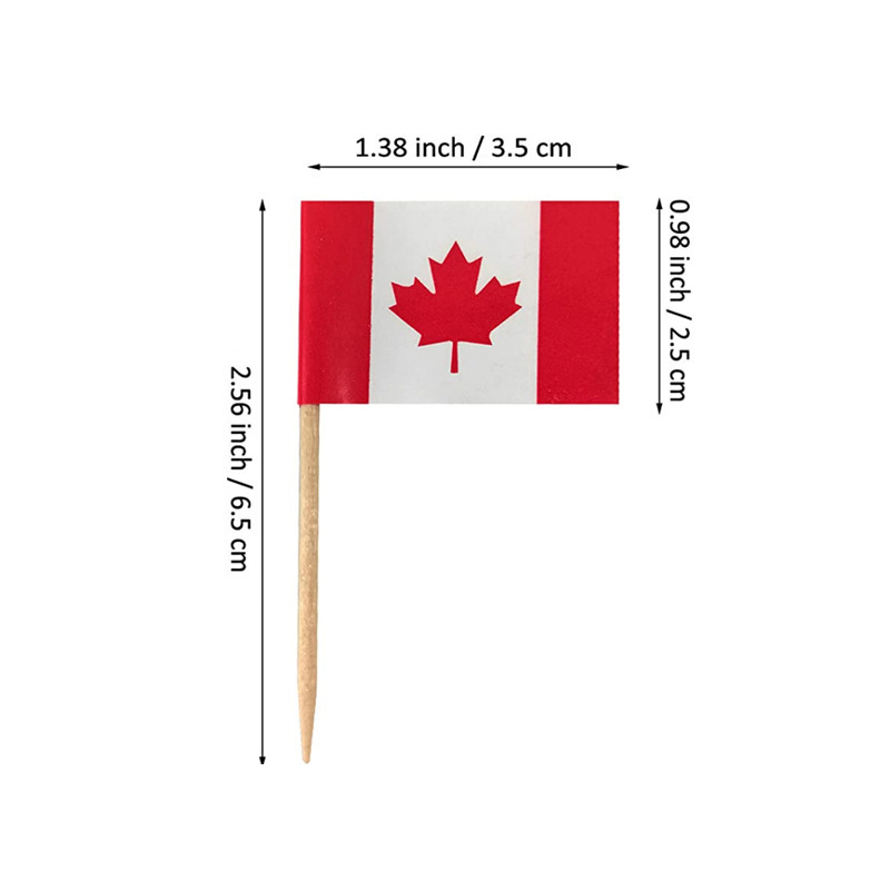 Personalised Food Mini Small Cupcake Topper Promotional Flags All Countries Canadian Toothpicks Flag