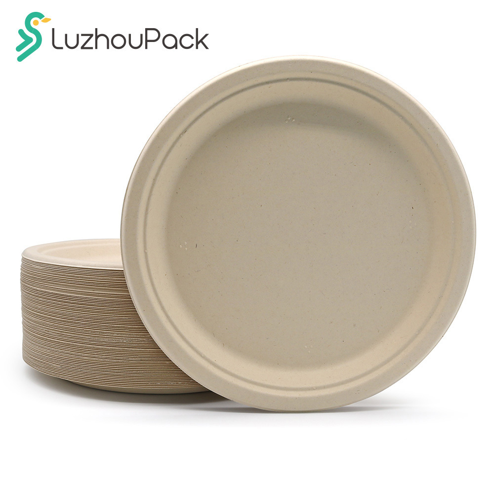 Customizable 10 Inches Greaseproof and Microwavable Eco Friendly Biodegradable Plate Bagasse Plate Disposable Paper Plates