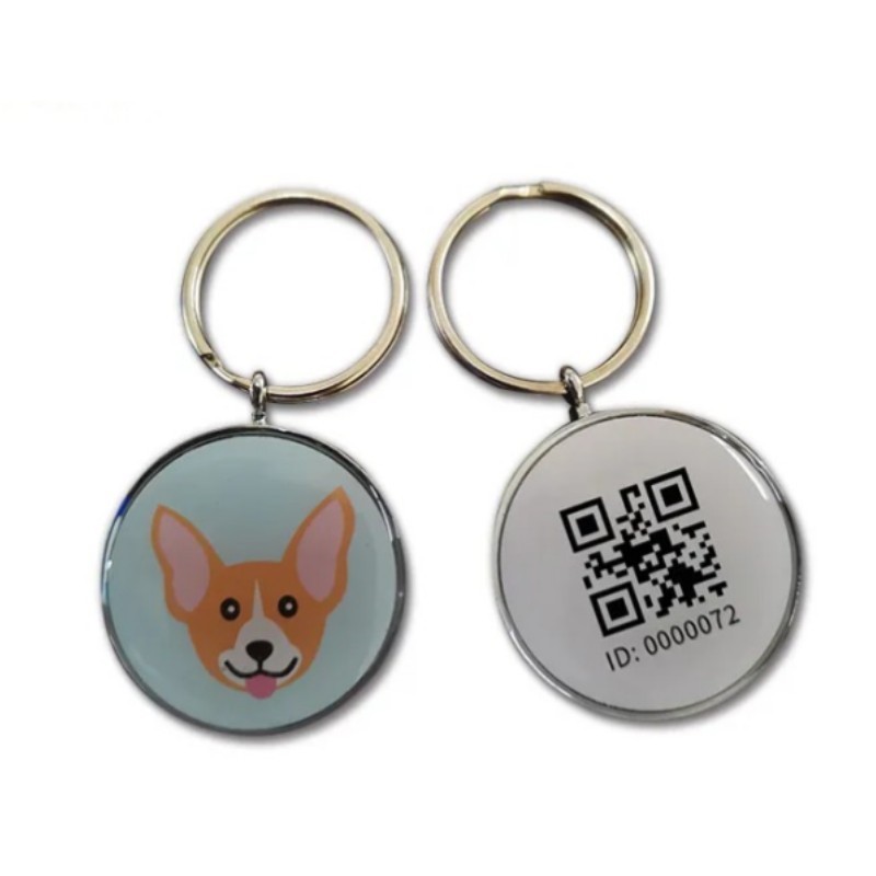 Custom Waterproof RFID NFC QR Code Tag Pets Smart Epoxy Pet Dog Name Tag With Metal Ring