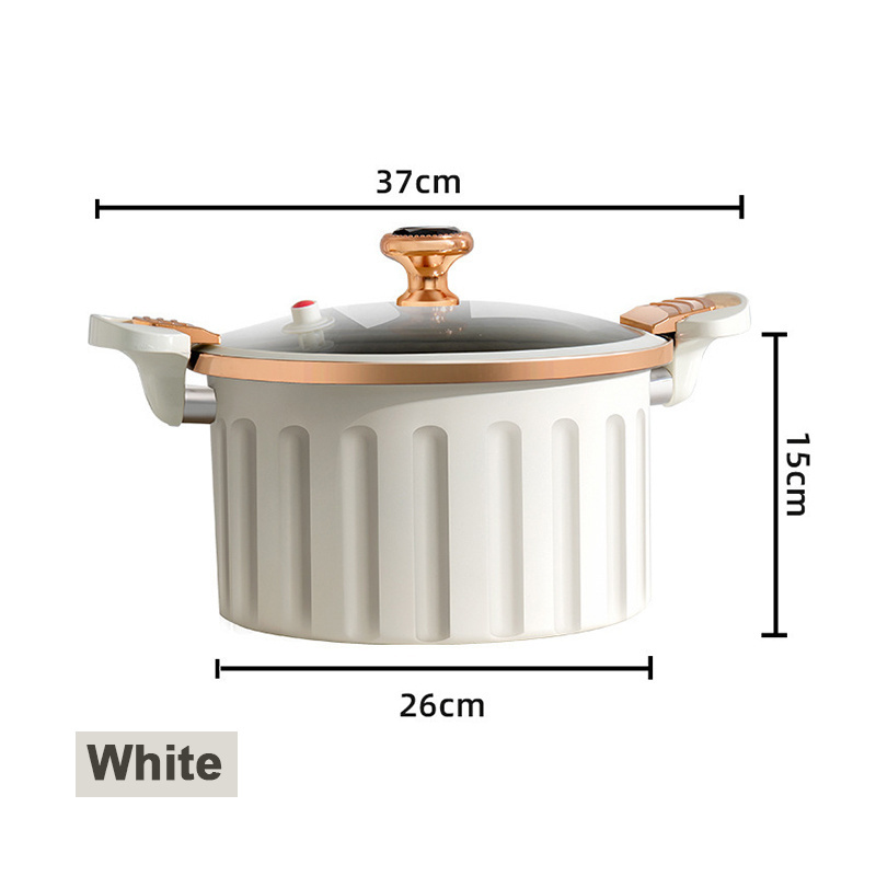 New Style White Blue plus Size 10 Liter Multi-Functional European Household Soup Pot Cast Iron Miniature Pressure Cooker