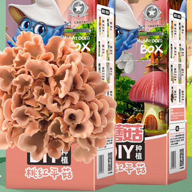 Mushroom Growing Kit Fresh Grow Your Own Mushrooms Kit Organic Mushroom Grow Kit