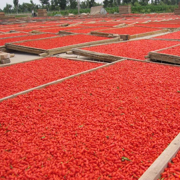 ningxia bulk goji berries wholesale red goji berry