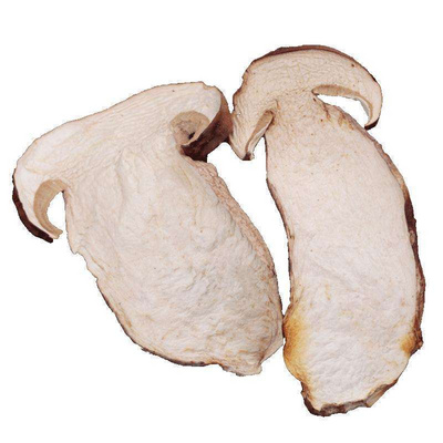 Wild Cheap Dried Delicious Bulk Porcini Mushrooms Boletus Mushrooms Carton Healthy AD High Grade with 1 Year Shelf Life 1 Ton Kg