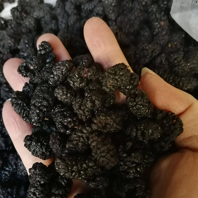 Sang Shen Natural Dried Black Fruit Mulberry Dry Black dried Mulberry