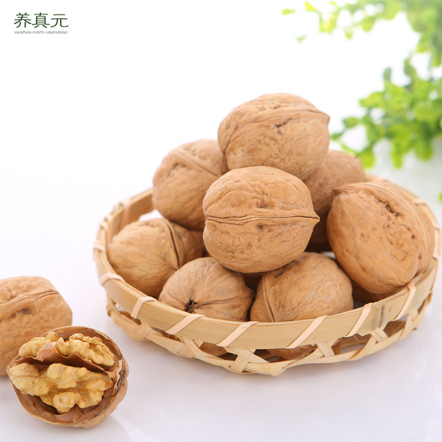 bags 5kg China cheap prices raw Paper walnut shell shelled dry fruits walnuts supplier