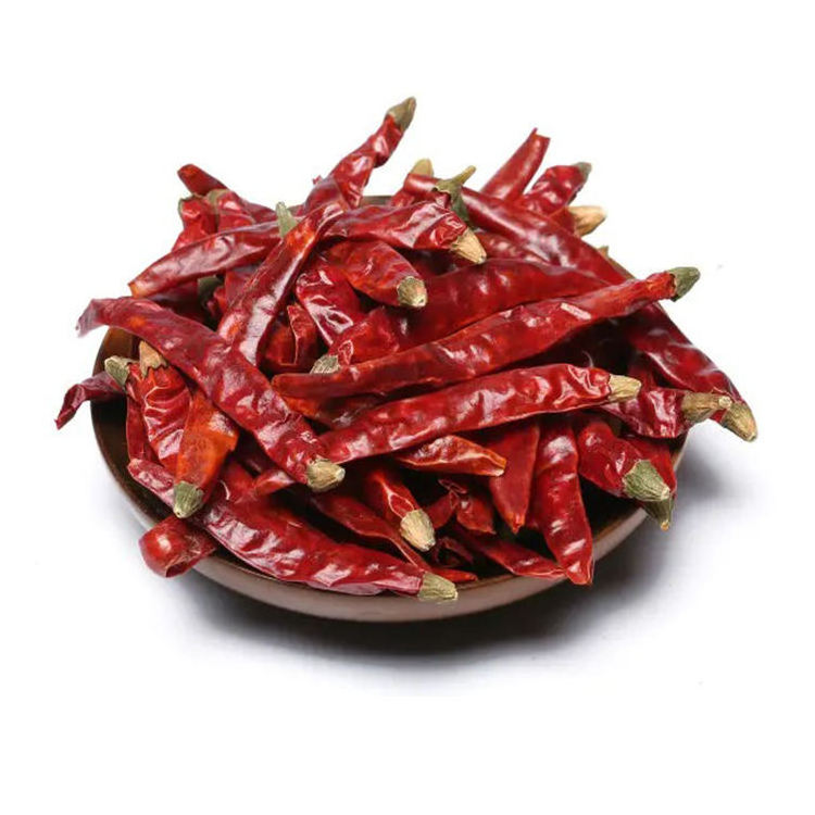 Hot Spicy wholesale price dry hot red chili