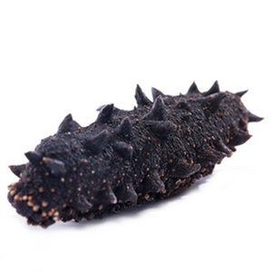 Factory buyer price dry sea cucumber dried sea cucumber for sale