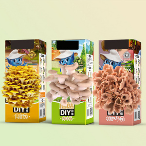 Mushroom Growing Kit Fresh Grow Your Own Mushrooms Kit Organic Mushroom Grow Kit