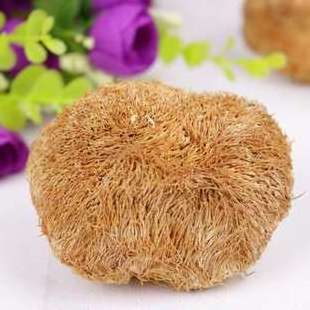 Hou Tou Gu Bulk Price Wild Dried Hericium Erinaceus Lion's Mane Mushroom