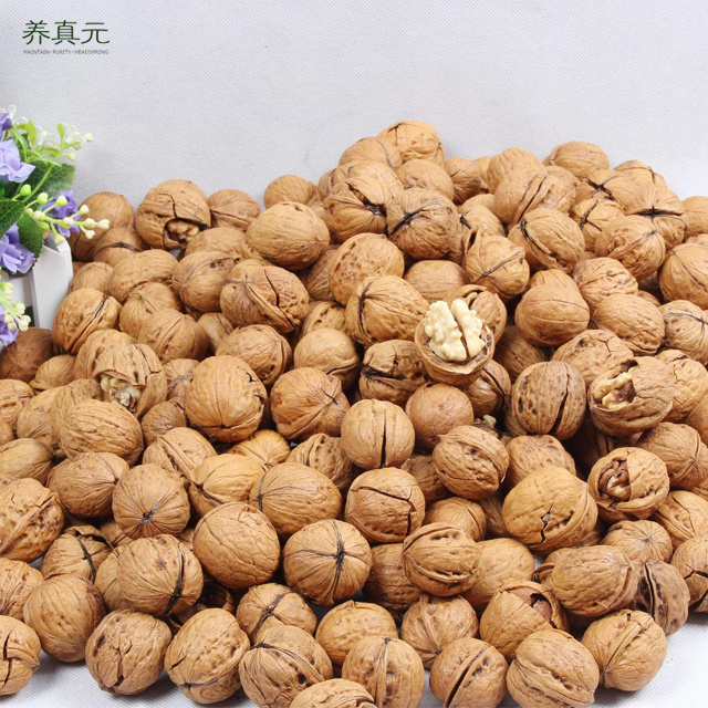 bags 5kg China cheap prices raw Paper walnut shell shelled dry fruits walnuts supplier