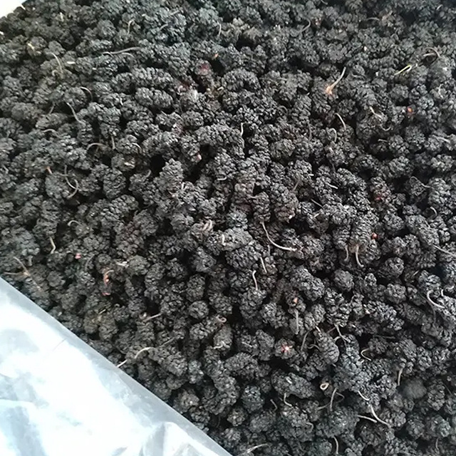 Sang Shen Natural Dried Black Fruit Mulberry Dry Black dried Mulberry