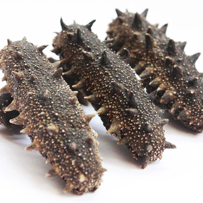 Factory buyer price dry sea cucumber dried sea cucumber for sale