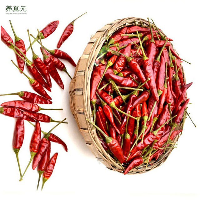 Hot Spicy wholesale price dry hot red chili